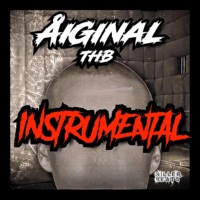 Åiginal (Instrumental) - Single - THB & Niller Beats