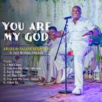 You Are My God (feat. Drf & Medic Minstrels) - Abiodun Falade Hospitals