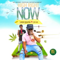 High Right Now (feat. Zizi 6ixx) - Single - Lando Brixton