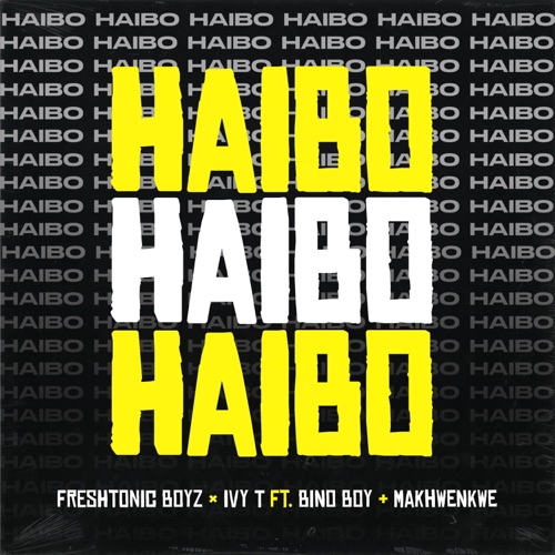 Haibo! (feat. Ivy T, Makhwenkhwe & BinoBoy) - Single