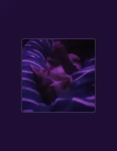 Poslechněte si interpreta aaliyah louise, sledujte hudební videa, přečtěte si životopis, podívejte se na data turné a další informace.