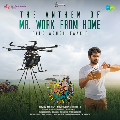 The Anthem of Mr. Work from Home (Nee Adugu Taaki) (From "Mr. Work from Home") - Single