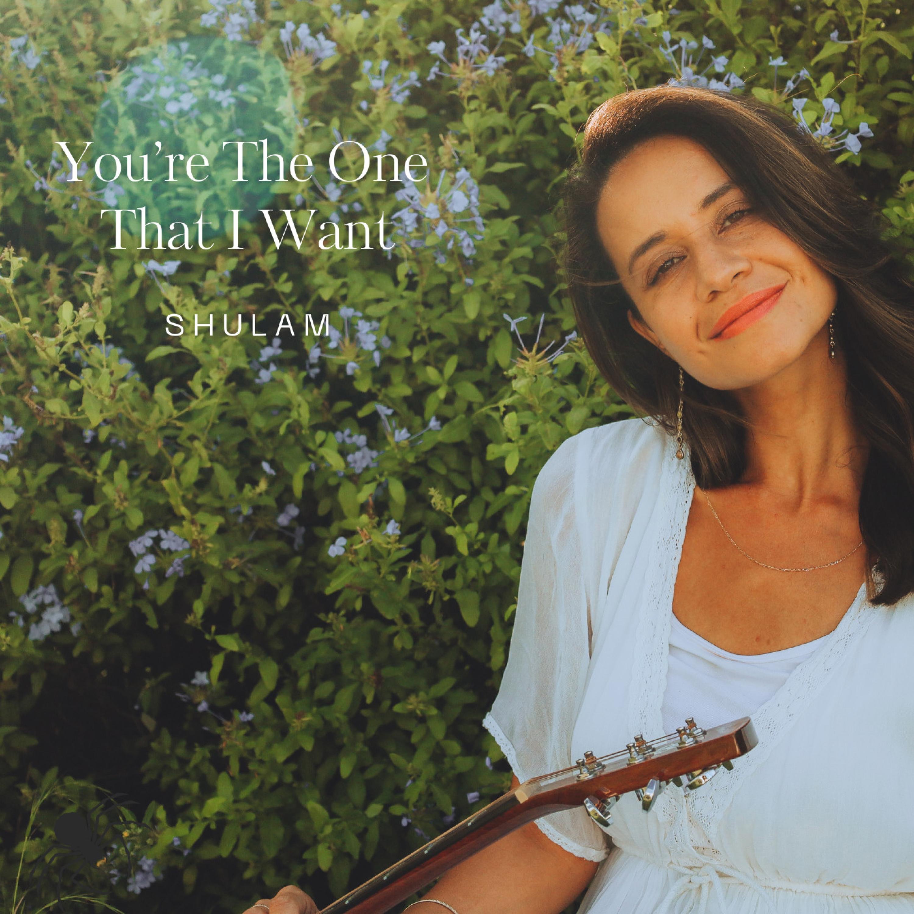 You're The One That I Want - Single