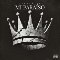 MI PARAÍSO (feat. CIBERNÉTICO & Diskfo Y Haze) - Single - Reggaetronico