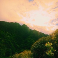 Youtruth - Single - Sú North