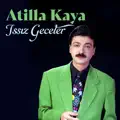 ISSIZ GECELER