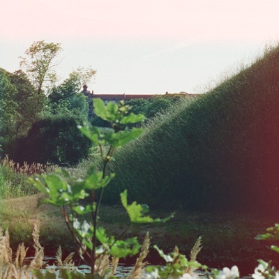In Bonn - Single