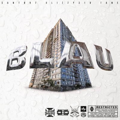 BLAU (feat. TANE) - Single