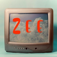 Album cover for Zee Nxumalo (feat. KoksWasHere) by KOKS