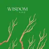 Wisdom