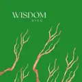 Wisdom