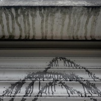 This Is What You Get (feat. FINLINCE!) - Single - zergchild