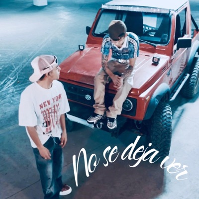 NO SE DEJA VER (feat. Flow Galactiko ft Joxan Edlm) - Single