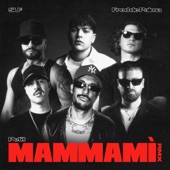 MAMMAMÌ RMX (feat. Fred De Palma & SLF) artwork