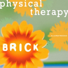 Brick - Breaking Mix (Breaking Mix) Physical Therapy