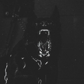 WIT THA SCHEME vstromane