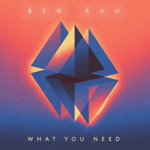 What You Need - Single