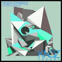 You Are Sleeping - EP - Tiger Stripes