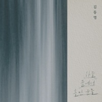 하늘 끝에서 흘린 눈물 - Single - 김동명