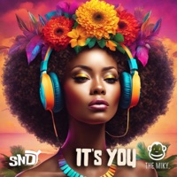 It's You - Single - SNDY CHILL, THE MIKY & Daza