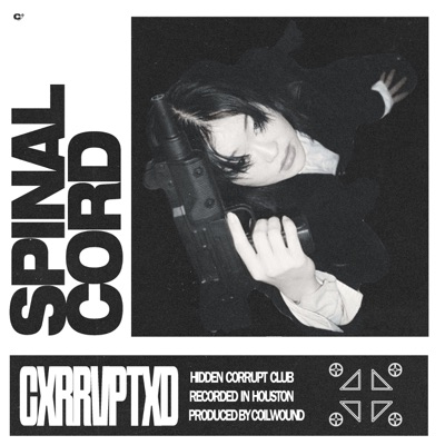 SPINAL CORD - Single