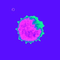 La vie est belle (feat. Ipomen) - Single - LARIVIÈRE