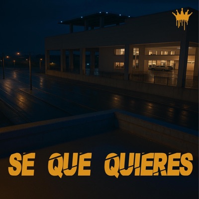 Se que quieres - Single