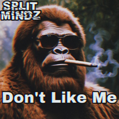 Don't Like Me - Single