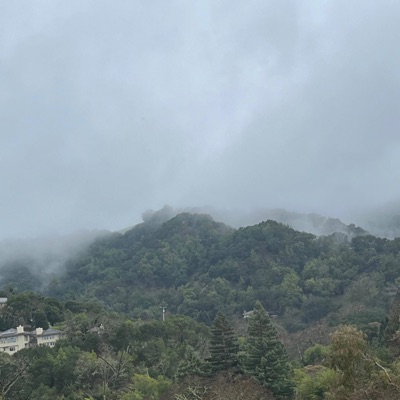 Escorted By Angels - Single