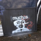 sucias