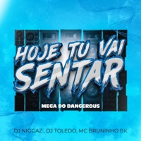 Mega Dangerous (Hoje Tu Vai Sentar) - Single - DJ Niggaz, Dj Toledo & Bruninho Bk