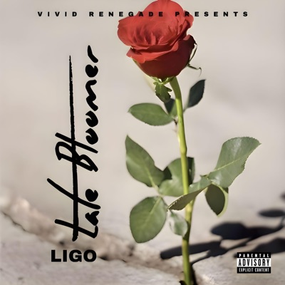 Late Bloomer - Single