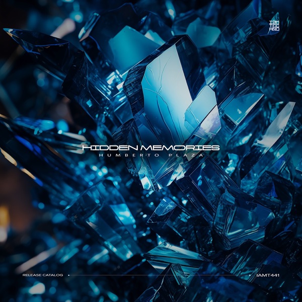 Hidden Memories - Single