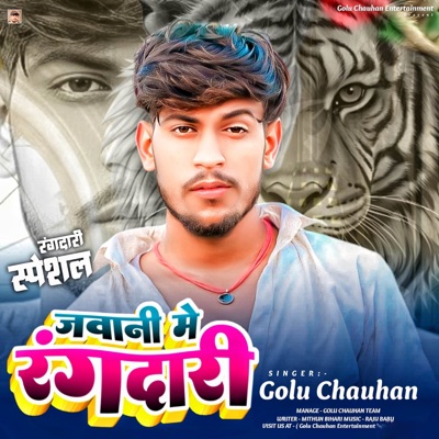 Jawani Main Rangdari - Single
