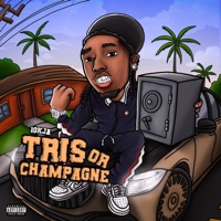 Tris or champagne - 10kja