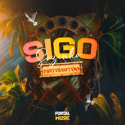 Sigo Sozinho (feat. MC Davi & Kawe) [Remix] - Single