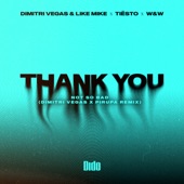 Thank You (Not So Bad) [feat. Tiësto] [Dimitri Vegas & Pirupa Remix] artwork
