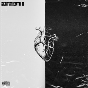SENTIMIENTO 0 - Single