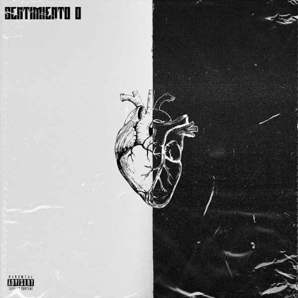 SENTIMIENTO 0 - Single