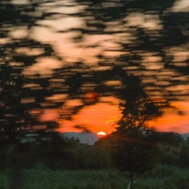 YOUNG & FREE Aiden Scheerer