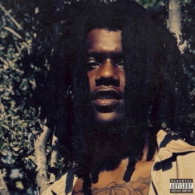 Talk To Em Fooley Pt. 2 - Single