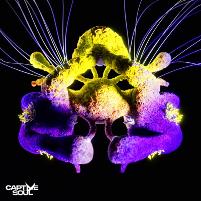 Fragments of Light artwork