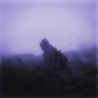 halcyon - Single - énouement & intershell