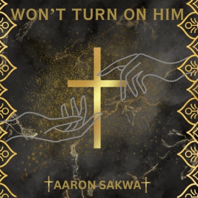 Won't Turn On Him - Single