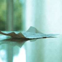 Febrero - Single - Toxic Wounds