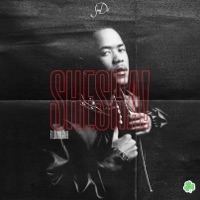 SHESHA! (feat. Dizoo Cafe) - Single - Sundé