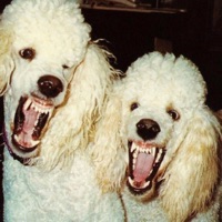 BENTLY SPUR (feat. Zukenee & Sk8star) - Single - halloween.m4a