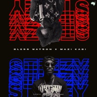 Stizzy (feat. Mazi KaBi) - Single - Bless Watson
