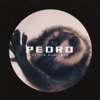 Pedro Pedro Pedro (Hardstyle Remix) - Oliver Roberts