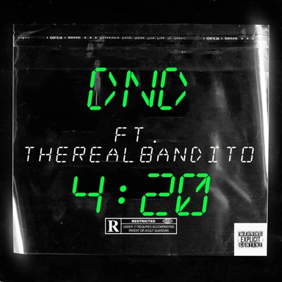 DND (feat. TheRealBandito) - Single